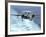 An E-2C Hawkeye Prepares For An Arrested Landing-Stocktrek Images-Framed Photographic Print