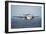 An E-2C Hawkeye Prepares for Landing-null-Framed Photographic Print