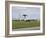 An E-3 AWACS Comes Into Land at Kadena Air Base, Okinawa, Japan-Stocktrek Images-Framed Photographic Print