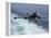 An EA-6B Prowler Lands Aboard the Aircraft Carrier USS John C. Stennis-Stocktrek Images-Framed Premier Image Canvas