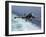 An EA-6B Prowler Lands Aboard the Aircraft Carrier USS John C. Stennis-Stocktrek Images-Framed Photographic Print