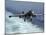 An EA-6B Prowler Lands Aboard the Aircraft Carrier USS John C. Stennis-Stocktrek Images-Mounted Photographic Print