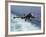 An EA-6B Prowler Lands Aboard the Aircraft Carrier USS John C. Stennis-Stocktrek Images-Framed Photographic Print