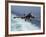 An EA-6B Prowler Lands Aboard the Aircraft Carrier USS John C. Stennis-Stocktrek Images-Framed Photographic Print