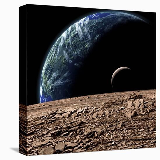 Stretched Canvas Print, , large