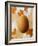 An Egg-Luzia Ellert-Framed Photographic Print