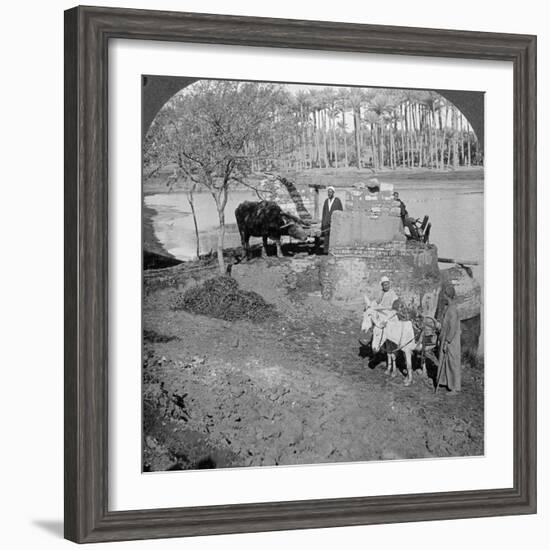 An Egyptian Sakieh, or Ox-Driven Bucket Pump, Egypt, 1905-Underwood & Underwood-Framed Photographic Print