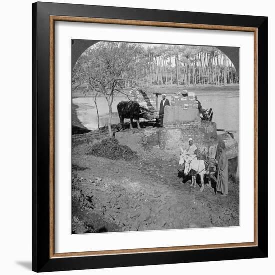 An Egyptian Sakieh, or Ox-Driven Bucket Pump, Egypt, 1905-Underwood & Underwood-Framed Photographic Print