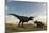 An Einiosaurus Is Confronted by a Tyrannosaurus Rex-null-Mounted Art Print