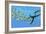 An Elasmosaurus Hunts a School of Bocaccio Fish-Stocktrek Images-Framed Art Print