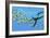 An Elasmosaurus Hunts a School of Bocaccio Fish-Stocktrek Images-Framed Art Print