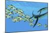 An Elasmosaurus Hunts a School of Bocaccio Fish-Stocktrek Images-Mounted Art Print