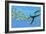 An Elasmosaurus Hunts a School of Bocaccio Fish-Stocktrek Images-Framed Art Print