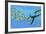 An Elasmosaurus Hunts a School of Bocaccio Fish-Stocktrek Images-Framed Art Print