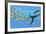 An Elasmosaurus Hunts a School of Bocaccio Fish-Stocktrek Images-Framed Art Print