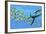 An Elasmosaurus Hunts a School of Bocaccio Fish-Stocktrek Images-Framed Art Print