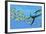 An Elasmosaurus Hunts a School of Bocaccio Fish-Stocktrek Images-Framed Art Print