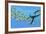 An Elasmosaurus Hunts a School of Bocaccio Fish-Stocktrek Images-Framed Art Print