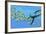 An Elasmosaurus Hunts a School of Bocaccio Fish-Stocktrek Images-Framed Art Print