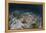 An Electric Ray on the Seafloor of Turneffe Atoll Off the Coast of Belize-Stocktrek Images-Framed Premier Image Canvas