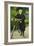 An Elegant Lady with a Bicycle-Paul Fischer-Framed Giclee Print