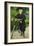 An Elegant Lady with a Bicycle-Paul Fischer-Framed Giclee Print