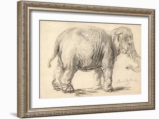 An Elephant, 1637-Rembrandt Harmensz. van Rijn-Framed Giclee Print