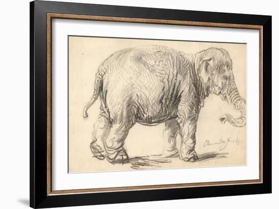 An Elephant, 1637-Rembrandt Harmensz. van Rijn-Framed Giclee Print