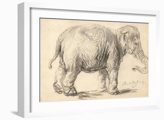 An Elephant, 1637-Rembrandt Harmensz. van Rijn-Framed Giclee Print