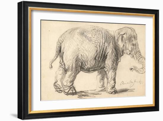 An Elephant, 1637-Rembrandt Harmensz. van Rijn-Framed Giclee Print