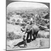 An Elephant and its Keeper, Sri Lanka, 1902-Underwood & Underwood-Mounted Giclee Print