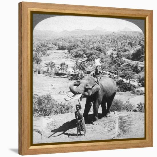 An Elephant and its Keeper, Sri Lanka, 1902-Underwood & Underwood-Framed Premier Image Canvas