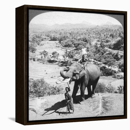 An Elephant and its Keeper, Sri Lanka, 1902-Underwood & Underwood-Framed Premier Image Canvas