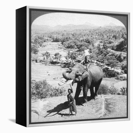 An Elephant and its Keeper, Sri Lanka, 1902-Underwood & Underwood-Framed Premier Image Canvas