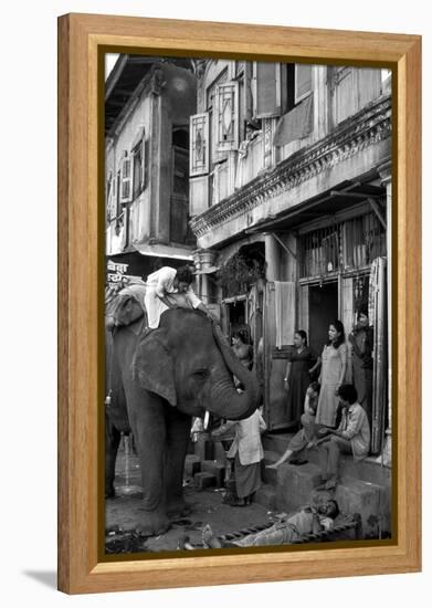 An Elephant Collects Tips from the Prostitutes on Falkland Road for Good Luck, Mumbai, 1980-null-Framed Premier Image Canvas