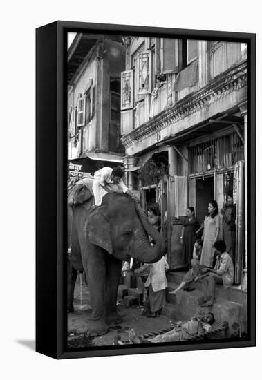 An Elephant Collects Tips from the Prostitutes on Falkland Road for Good Luck, Mumbai, 1980-null-Framed Premier Image Canvas