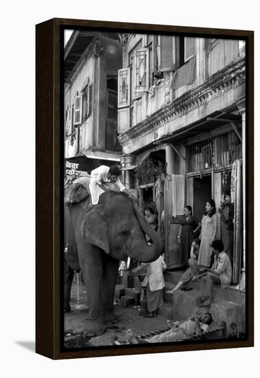 An Elephant Collects Tips from the Prostitutes on Falkland Road for Good Luck, Mumbai, 1980-null-Framed Premier Image Canvas