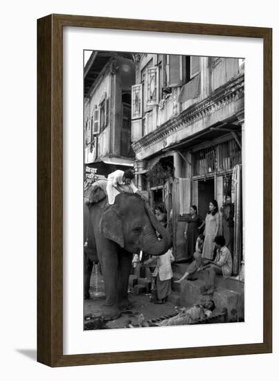 An Elephant Collects Tips from the Prostitutes on Falkland Road for Good Luck, Mumbai, 1980-null-Framed Photographic Print