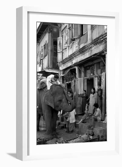 An Elephant Collects Tips from the Prostitutes on Falkland Road for Good Luck, Mumbai, 1980-null-Framed Photographic Print