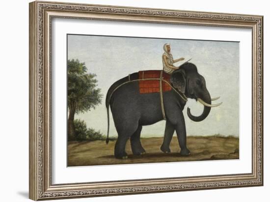 An Elephant Keeper Riding His Elephant-null-Framed Giclee Print