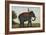 An Elephant Keeper Riding His Elephant-null-Framed Giclee Print