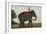 An Elephant Keeper Riding His Elephant-null-Framed Giclee Print