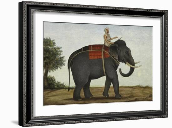 An Elephant Keeper Riding His Elephant-null-Framed Giclee Print