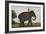 An Elephant Keeper Riding His Elephant-null-Framed Giclee Print