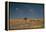 An Elephant, Loxodonta Africana, and Zebras in Grassland at Sunset-Alex Saberi-Framed Premier Image Canvas