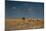 An Elephant, Loxodonta Africana, and Zebras in Grassland at Sunset-Alex Saberi-Mounted Photographic Print