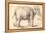 An Elephant-Rembrandt van Rijn-Framed Premier Image Canvas