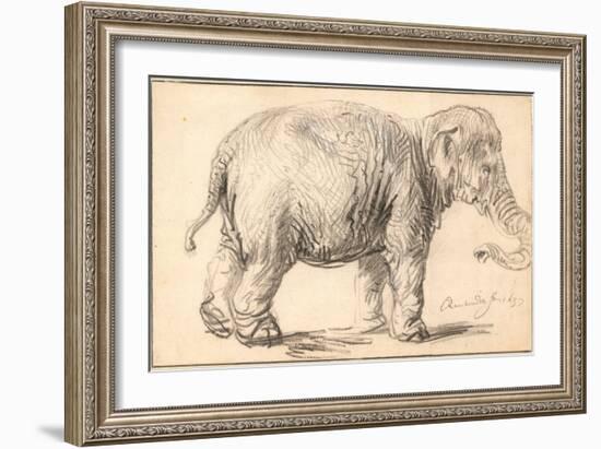 An Elephant-Rembrandt van Rijn-Framed Giclee Print