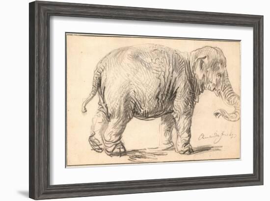 An Elephant-Rembrandt van Rijn-Framed Giclee Print