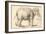 An Elephant-Rembrandt van Rijn-Framed Giclee Print